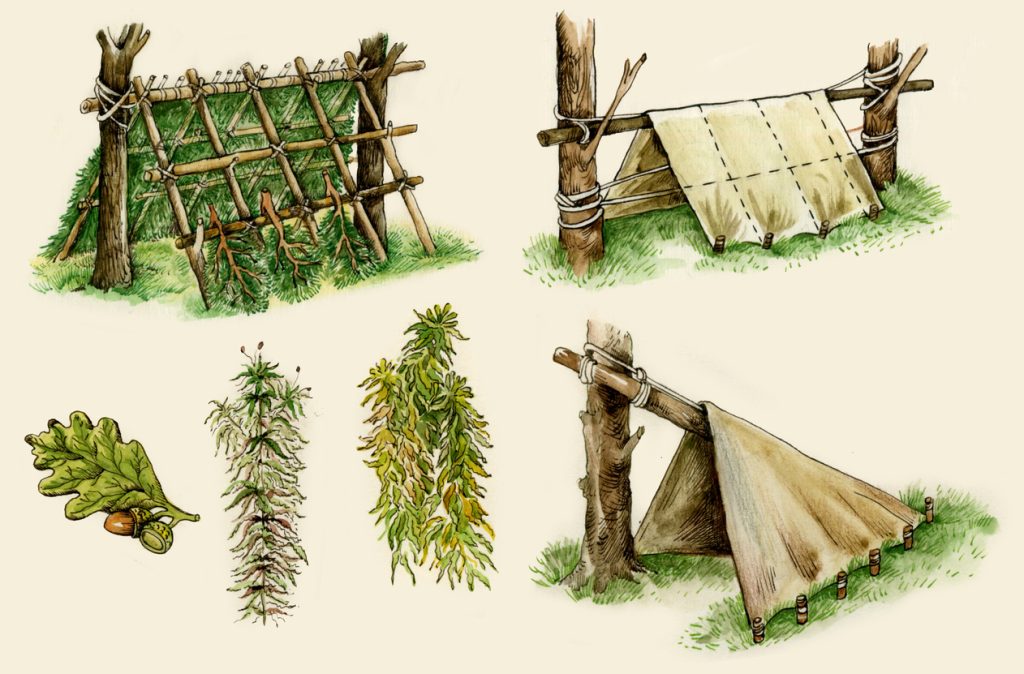 Wilderness Survival